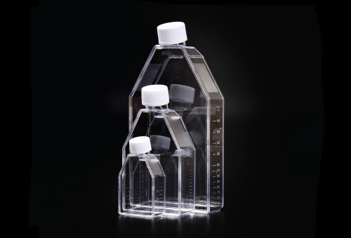 70325  滤盖悬浮细胞培养瓶，25cm2，PS，灭菌  韩国SPL耗材